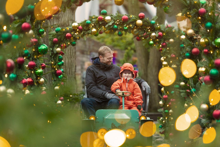 Copenhagen Tivoli Gardens Christmas Entry Ticket & Ride Pass Tivoli Gardens Christmas Entry Ticket & Ride Pass 429-214