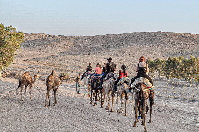 Marraquexe: Agafay Desert Quad &amp; Camel Rides with Dinner Show