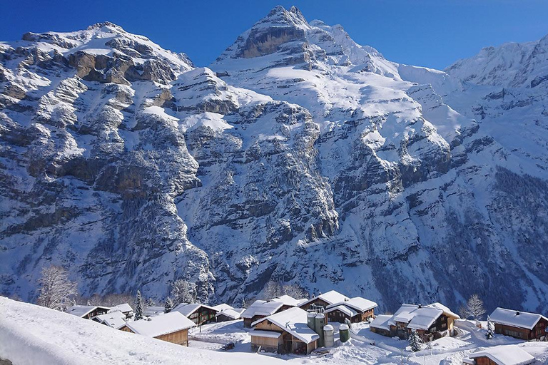 Geneva: Lauterbrunnen & Grindelwald Bus Tour with Glass Roof