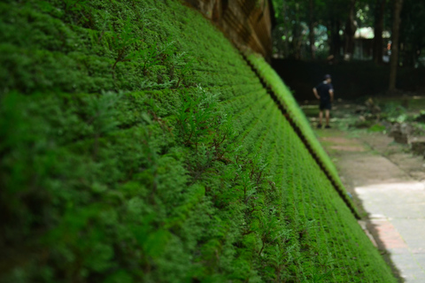 Chiang Mai : 4 heures de visite à Doi Suthep, Wat Umong et Wat Phalat