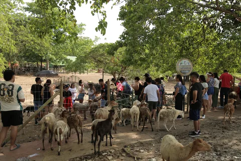 De Medellín: Viagem de 1 dia ao Parque Temático Hacienda Nápoles