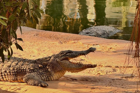 Djerba Explore: Crocodile Park & Lalla Hadria Museum Tour