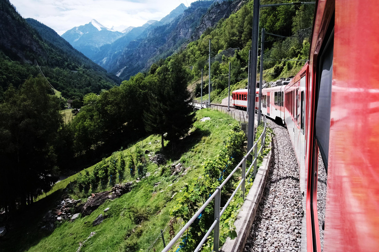 Swiss Alps by Train: Bernina & St. Moritz from Milan Tour with Standard Carriage