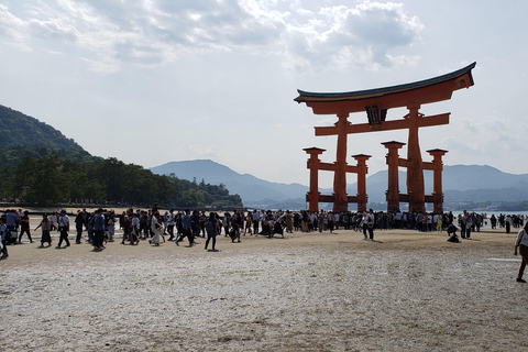 Hiroshima: Fredens stad-Privat tur med en lokal guideHiroshima: The City of Peace–Private Tour with a Local Guide