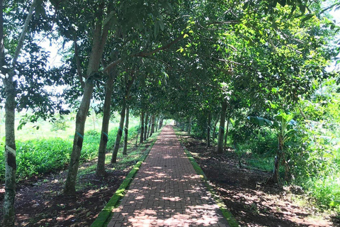 Long Tan, Nui Dat & Long Phuoc Tunnels Day Tour From Vung Tau: Long Tan & Nui Dat Battlefield