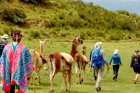 Magical rituals and the challenge of the Llamas