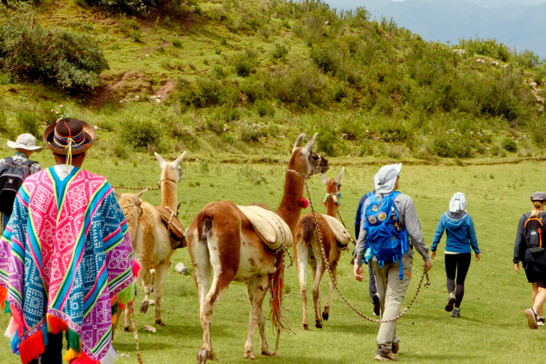 Magical rituals and the challenge of the Llamas
