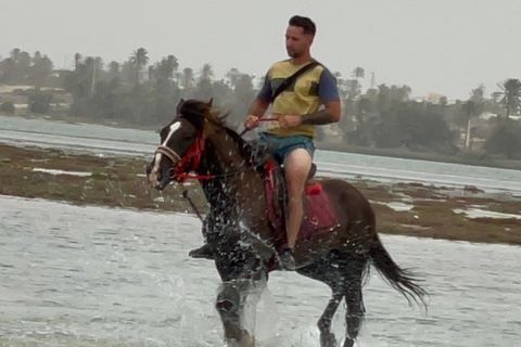 Djerba: Individual Horse Riding in the Blue Lagoon.