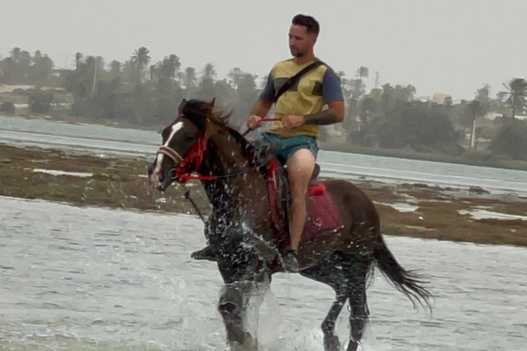 Djerba: Individual Horse Riding in the Blue Lagoon.