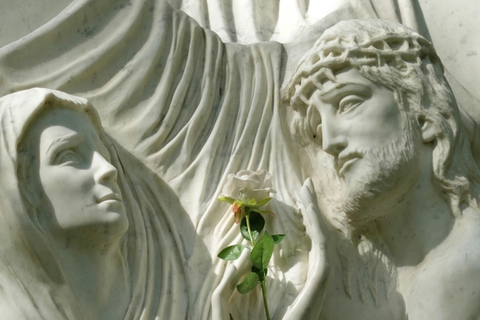 From Toulouse to Lourdes: Guided Small Group Day Tour