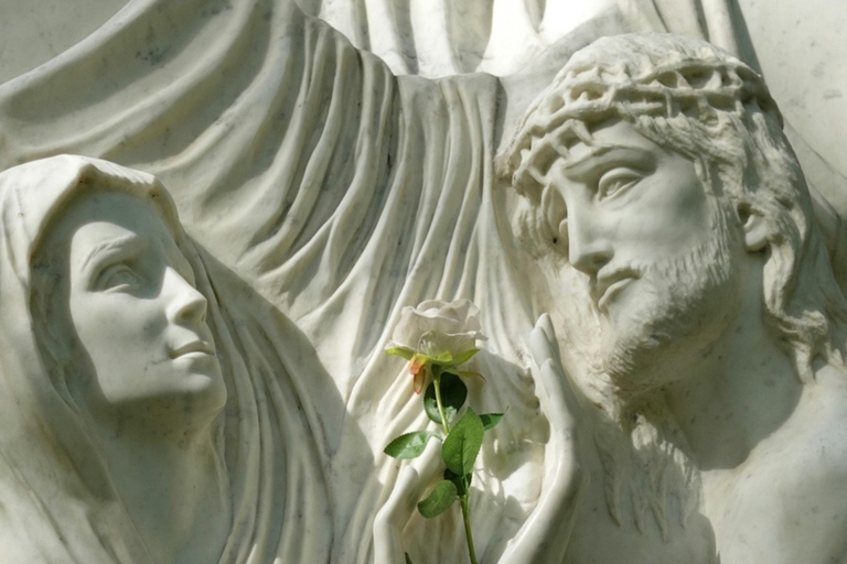 From Toulouse to Lourdes: Guided Small Group Day Tour