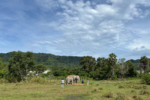 Phuket: Reserva de elefantes Freedom - Paseo por la naturaleza etéreaPhuket: Tour por la reserva natural Freedom Elephant Reserve con paseo y alimentación de elefantes