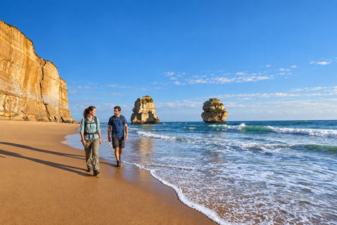 Melbourne: Great Ocean Road Tour, 12 Apostles & Apollo Bay Melbourne CBD Meeting Point (Max 50 guests)