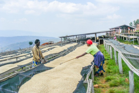 Kigali: tour della città e tour del caffè