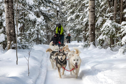 Quebec Excursión en trineo tirado por perros por el fiordo de Saguenay