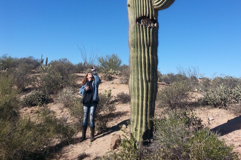 Scottsdale/Phoenix: Guided U-Drive ATV/UTV Sand Buggy Tour Scottsdale/Phoenix: Guided U-Drive Sand Buggy Adventure