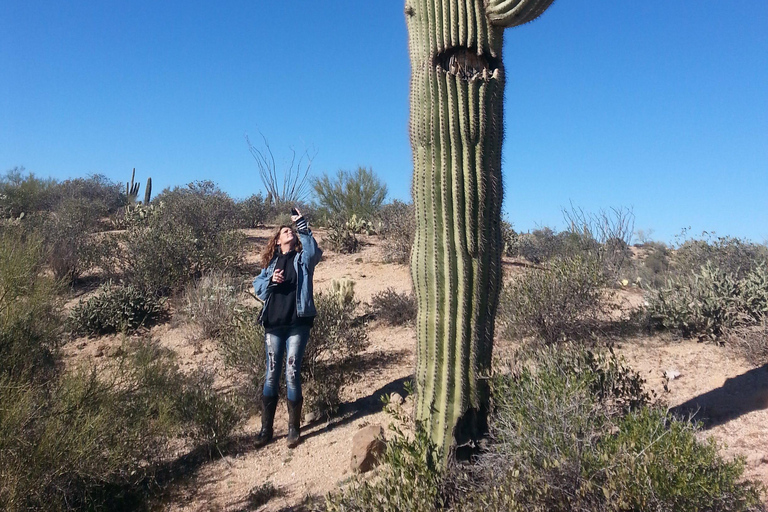 Scottsdale/Phoenix: Guided U-Drive ATV/UTV Sand Buggy Tour Scottsdale/Phoenix: Guided U-Drive Sand Buggy Adventure