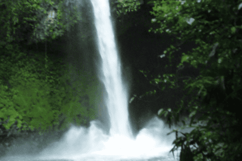 Río Celeste National Park Hike