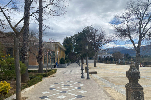 from Estepona, Marbella, Mijas: RONDA private tour incl. transportation and tapas