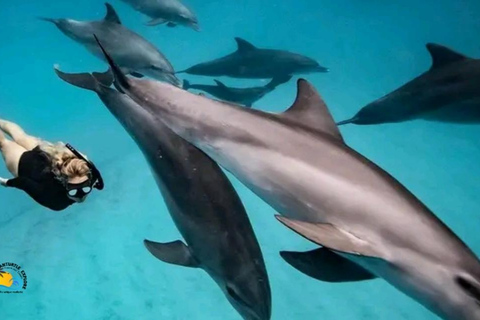 Zanzibar: Mnemba dolfijnen en snorkeltour