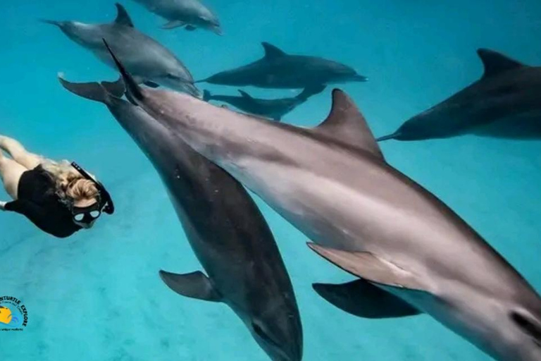 Zanzibar: Mnemba dolfijnen en snorkeltour