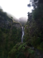 Rabaçal, Lagoa do Vento, Levada Risco and Levada 25 Fontes - Housity