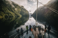 Desde Queenstown, Premium Dudous Sound Wilderness viaje de un día - Hizvo