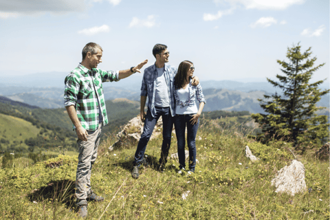 Full Day Trip Ellora Caves & Daulatabad Fort from Aurangabad