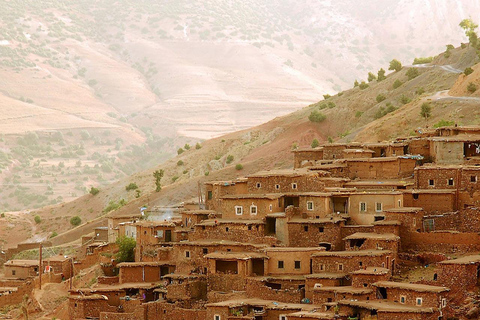 Desde Marrakech: montañas del Atlas, valle de Ourika y paseo en camello