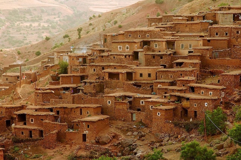 Z Marrakeszu: góry Atlas, dolina Ourika i przejażdżka na wielbłądach