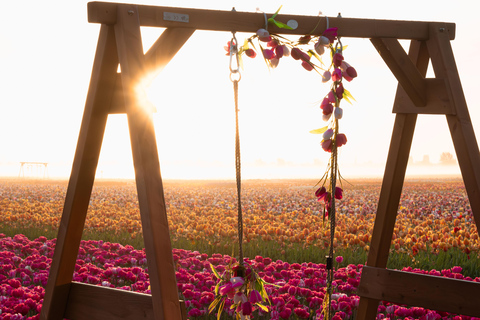 Tulip Experience and Tulip Fields Tour from Amsterdam