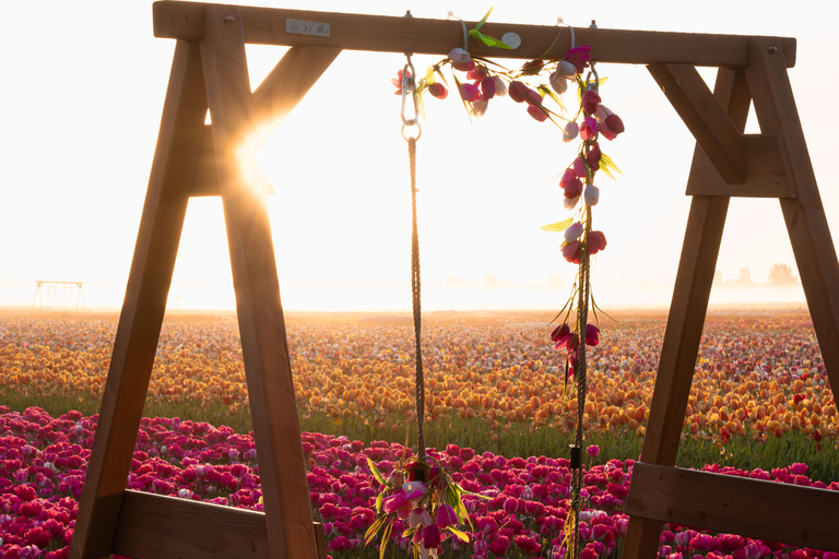 Tulip Experience and Tulip Fields Tour from Amsterdam