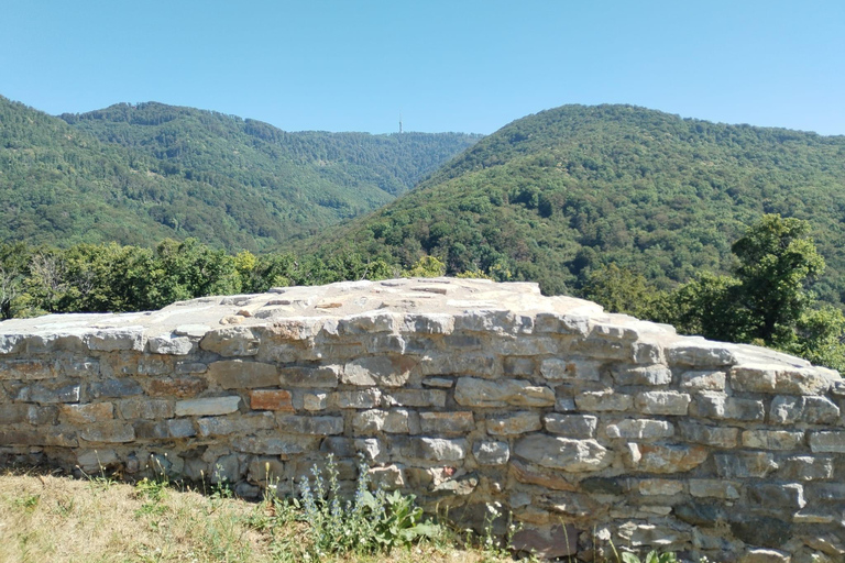 Zagreb: Mirogoj Cemetery & Medvedgrad Castle Echoes of Time: Mirogoj & Medvedgrad