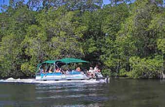 black river boat safari from negril or montego bay