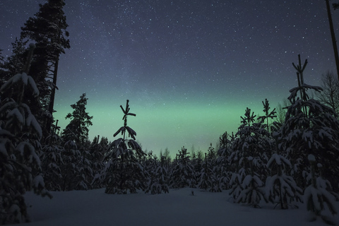 Rovaniemi: Northern Lights Campfire Trip - a New Budget Tour