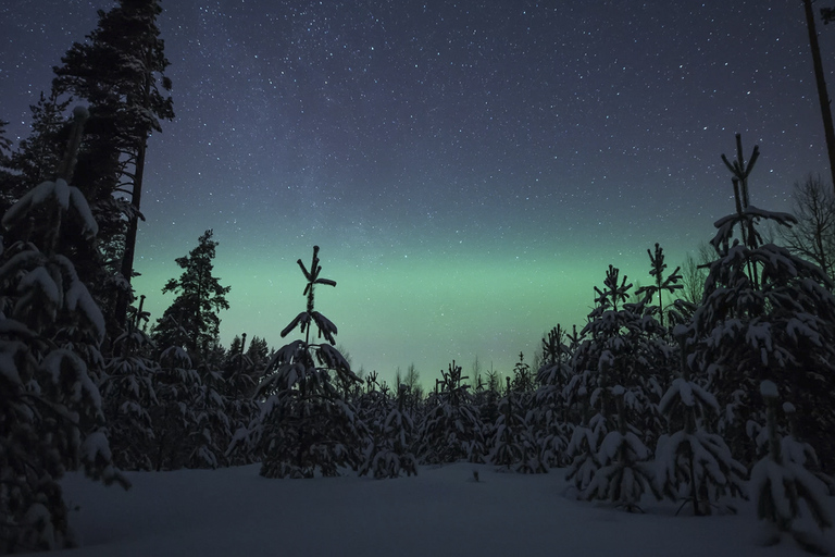 Rovaniemi: Northern Lights Campfire Trip - a New Budget Tour