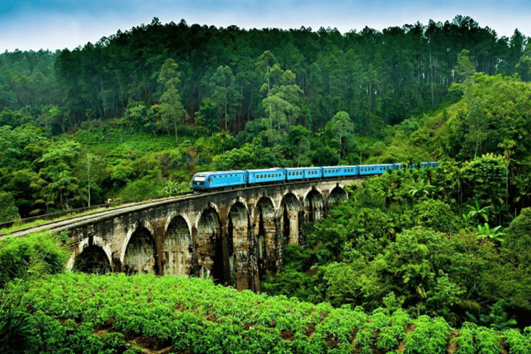 Sri Lanka e-Travels and Tours: niezawodne rozwiązanie transportowe