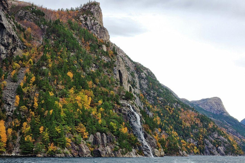 Stavanger : Croisière panoramique dans les fjords vers Lysefjord et PreikestolenStavanger : croisière au Lysefjord et Preikestolen