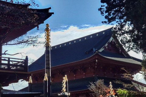 Puerta de Nikko de Lujo;Tour guiado privado