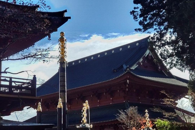 Porta di lusso di Nikko; tour privato guidato