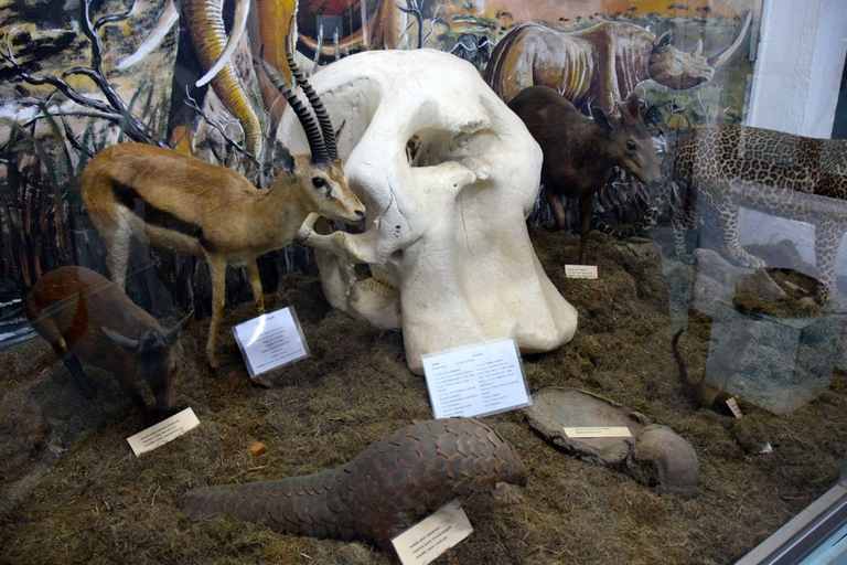 Arusha: Museum of Natural History Guided Tour