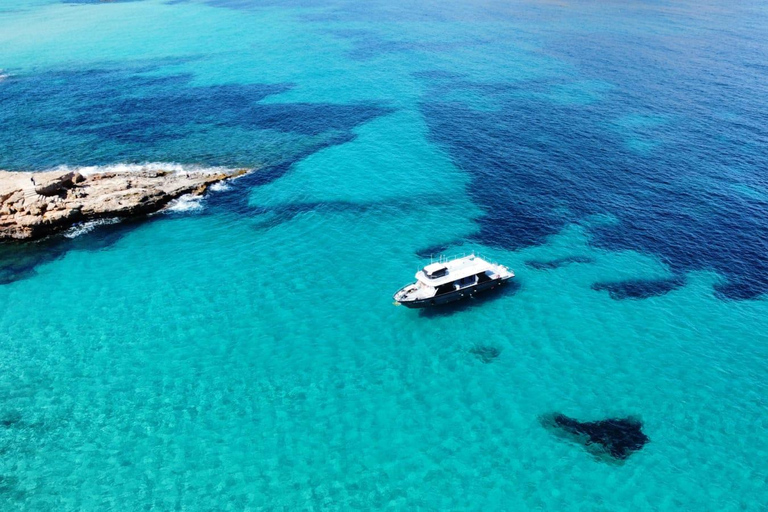 Ibiza: Sunset VIP Paella Cruise with drinks,Paddle Boarding