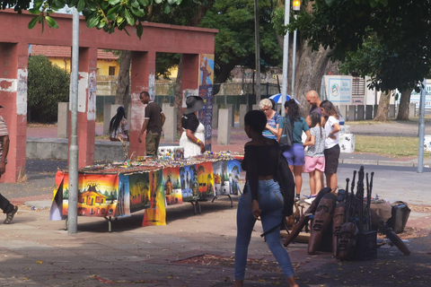 Ciudad del Cabo: tour del municipio de 3 a 4 horas