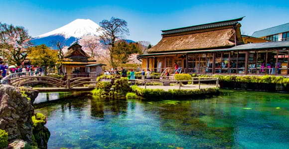 Fuji/Hakone Private Tour, englischsprachiger Guide, Foto