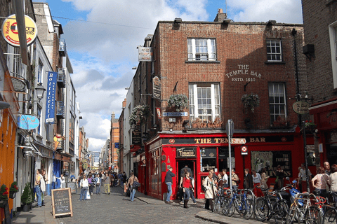 Dublin: Privat stadsrundtur på tyska