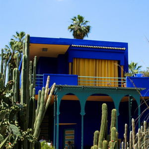 Marrakech: Majorelle Garden, YSL, and Berber Museum Entry