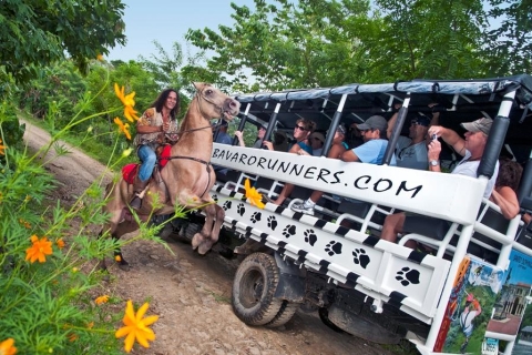Punta Cana: Bavaro Runners Safari TourPunta Cana: Jeep Safari en Plantation Tour van een hele dag