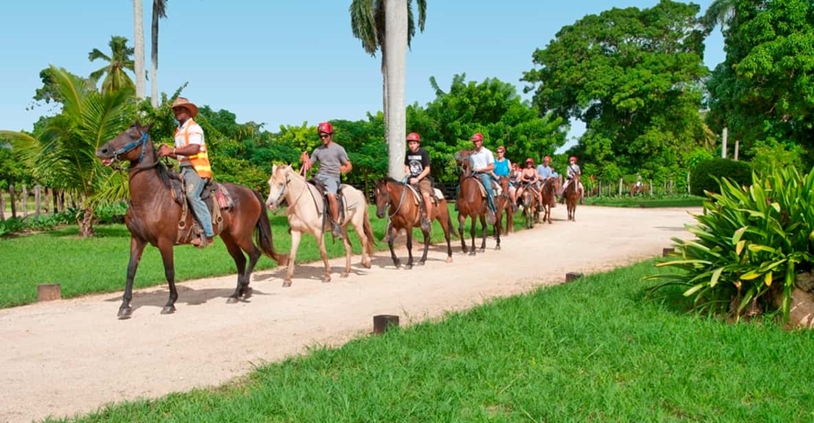 Punta Cana Bavaro Runners Safari Tour GetYourGuide