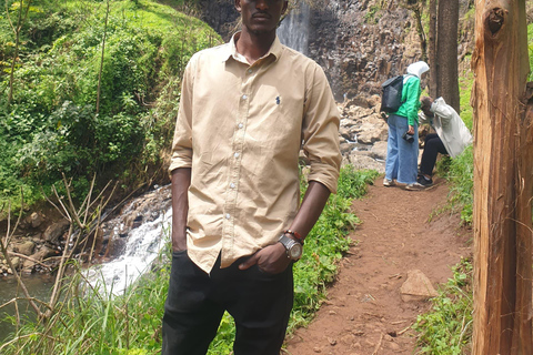 Day Trip To Materuni For Waterfall, Coffee Tour & Local Dish