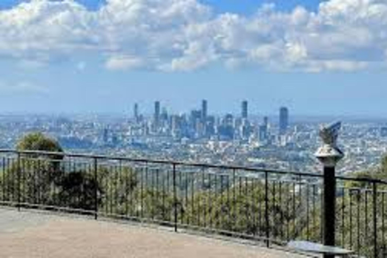 Brisbane: City Tour with Koala Sanctuary